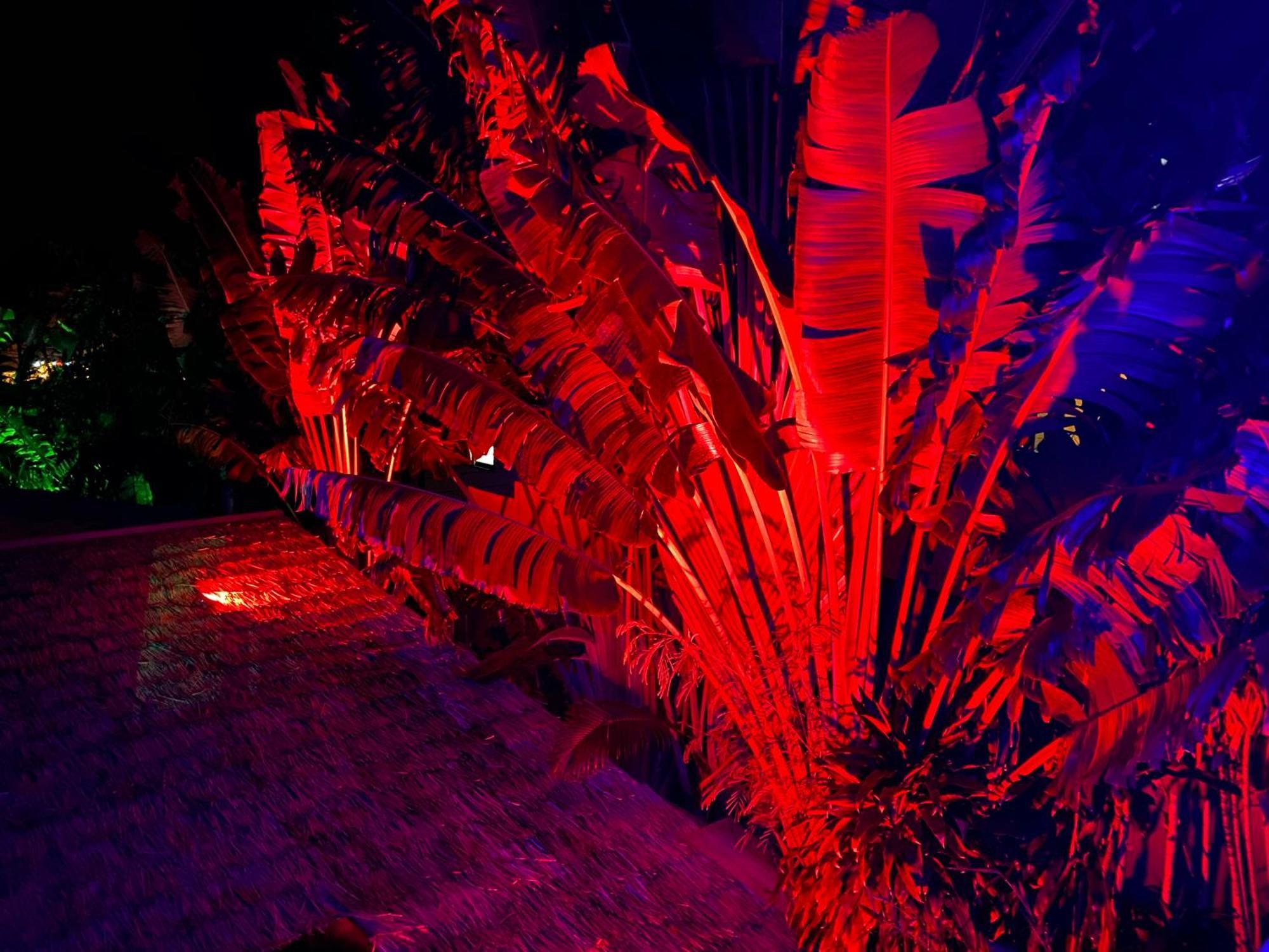 Stunning Villa With Ocean Views And Free Car Lamai Beach  Екстер'єр фото